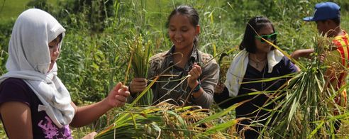 タイの山岳民族の村