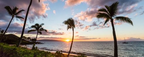 ハワイ海外ボランティア